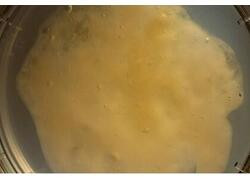 НГТУ НЭТИ разработали биополимер для защиты микрофлоры животных