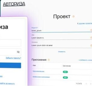 В&nbsp;Новосибирске запущена платформа Авториза&nbsp;&mdash; российский сервис инфраструктуры для цифровых проектов