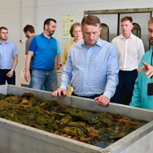 Первый в&nbsp;России завод полного цикла по&nbsp;переработке водорослей открылся в&nbsp;Карелии