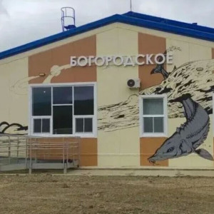 В&nbsp;Богородском Хабаровского края открыли аэровокзал с&nbsp;втрое большей пропускной способностью