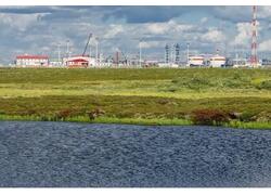 &laquo;Лукойл&raquo; вернул в&nbsp;разработку арктическую нефть спустя десятилетия