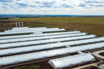 В&nbsp;Воронежской области открылся новый свиноводческий комплекс