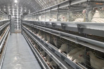На&nbsp;птицефабрике в&nbsp;Певеке открыли новый производственный цех