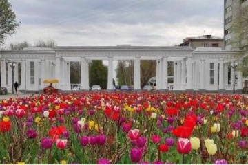 В&nbsp;Луганске за&nbsp;сезон дорожных работ отремонтировали 21 улицу