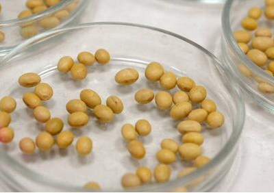 &laquo;Агротерра&raquo; открыла завод по&nbsp;производству семян в&nbsp;Курской области