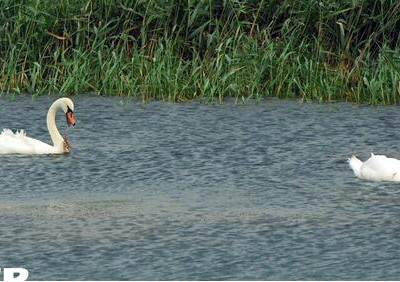 Старокрымское водохранилище, питающее Мариуполь, наполнилось до&nbsp;краев